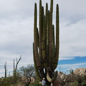 Meet your Posher, Anita